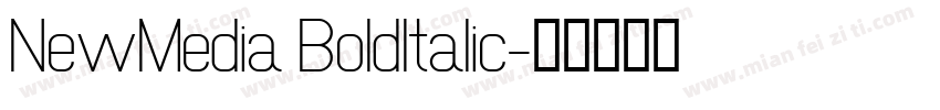 NewMedia BoldItalic字体转换